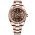 Selfika™ Men's Automatic Luxury Watch Sky-Dweller Chocolate Dial 42mm