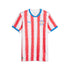 Official Paraguay National Team Puma 2026 Home Replica Jersey - White - Jersey Teams World