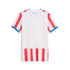 Official Paraguay National Team Puma 2026 Home Replica Jersey - White - Jersey Teams World