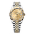 Selfika™ Men's Two Tone Champagne Automatic Watch 126333