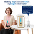 Selfika™ High-Purity Hydrogen Water Generator – 300ml/min H2 & O2 Dual-Outlet System with PEM Technology
