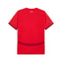 Switzerland National Team Puma 2025/26 Custom Jersey - Red